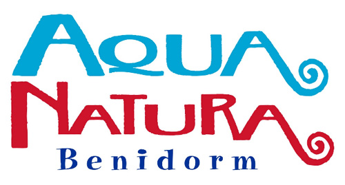 Aqua natura buceo con leones marinos