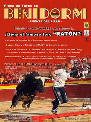 El Toro Ratón en Benidorm