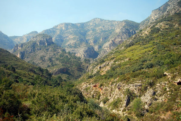 Conoce el paraje Parpalló Borrell de Gandía