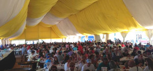 carpa fiestas de vinaros