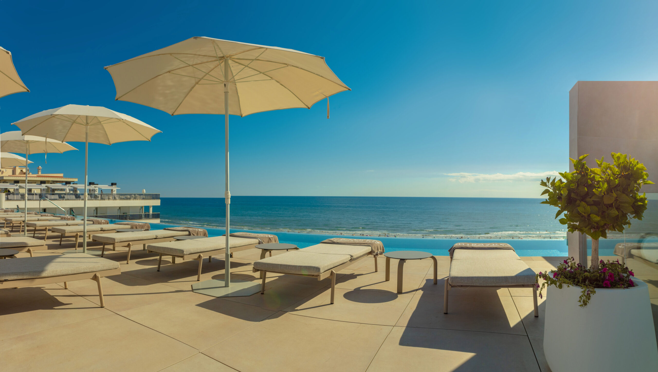 Hamacas gran confort frente a la piscina infinity UNIQ